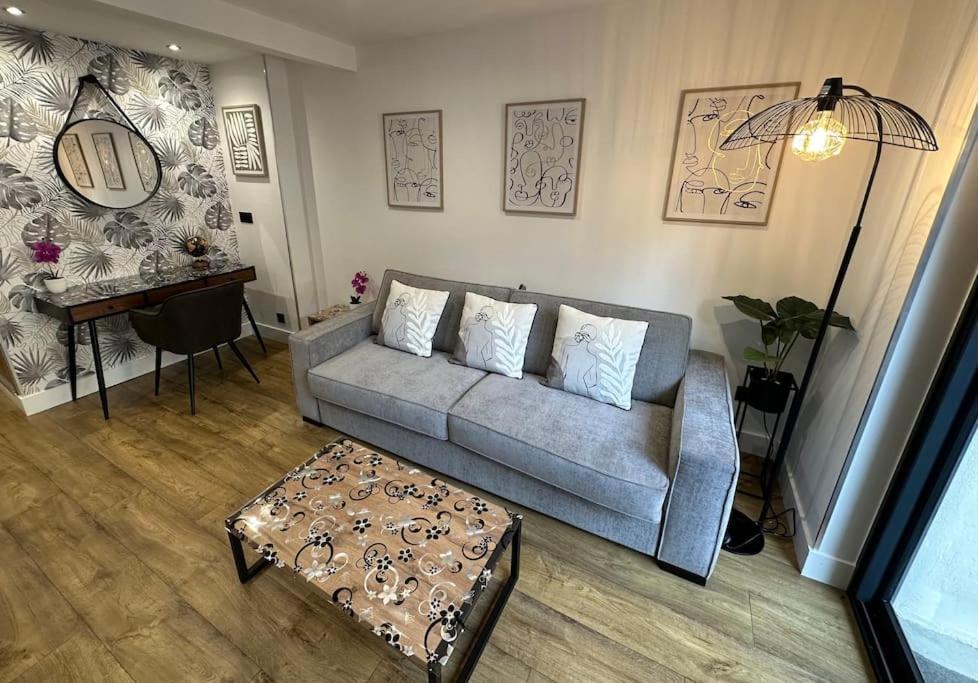 Le Briand Appartement 4Etoiles Nancy Thermal Cosy Avec Terrasse Wifi Exterior photo