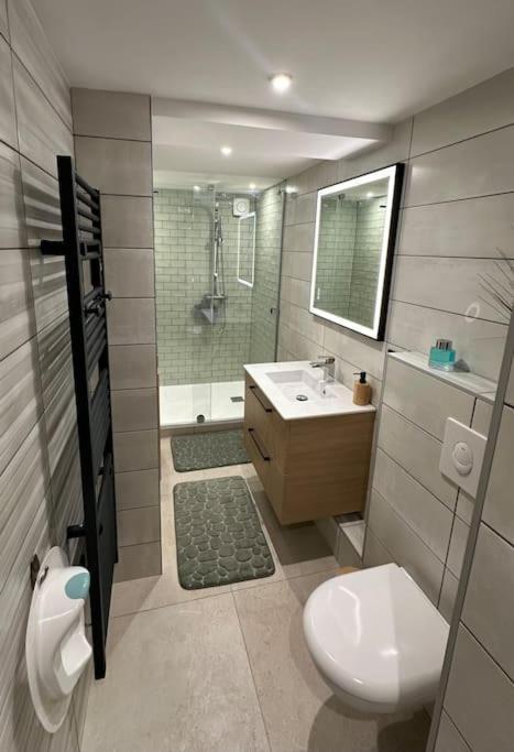 Le Briand Appartement 4Etoiles Nancy Thermal Cosy Avec Terrasse Wifi Exterior photo